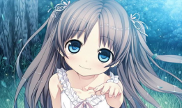 哪个动漫,忍者世界的传奇