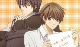 世界第一动漫,揭秘世界第一动漫的传奇魅力