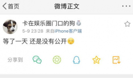 吃瓜爆料音乐叫什么来着,流行乐坛的神秘旋律